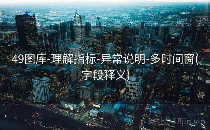 49图库-理解指标-异常说明-多时间窗(字段释义)